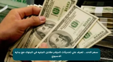 سعر الأحد.. تعرف على تحديثات الدولار مقابل الجنيه في البنوك مع بداية الأسبوع